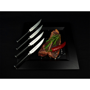 Samura Mo-V Steak Messenset