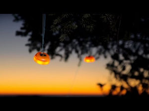 Biolite_Site_Lights_Lighting_Teal