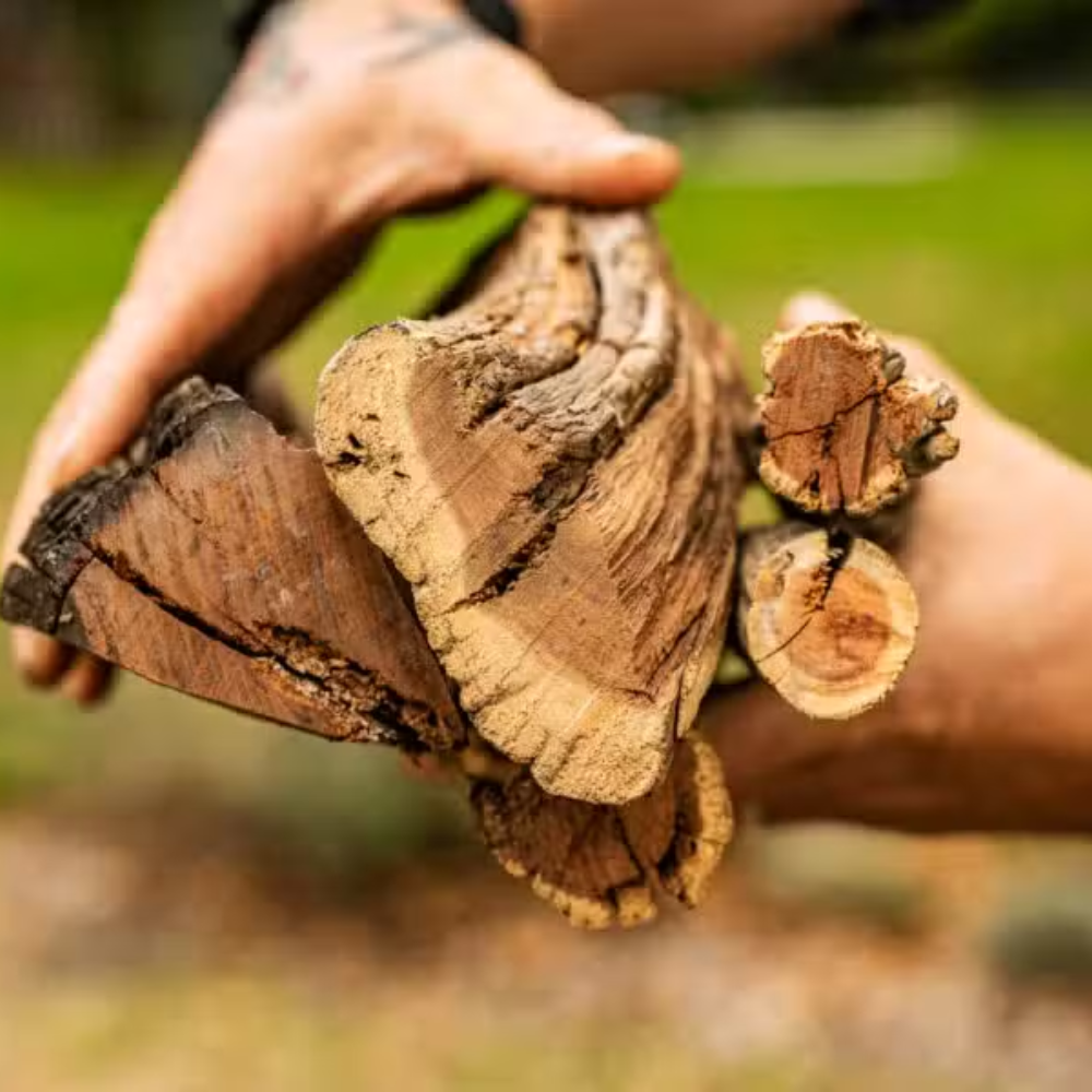 Outdoor Food - Zuid-Afrikaans braaihout • Kameeldoring en Sekelbos