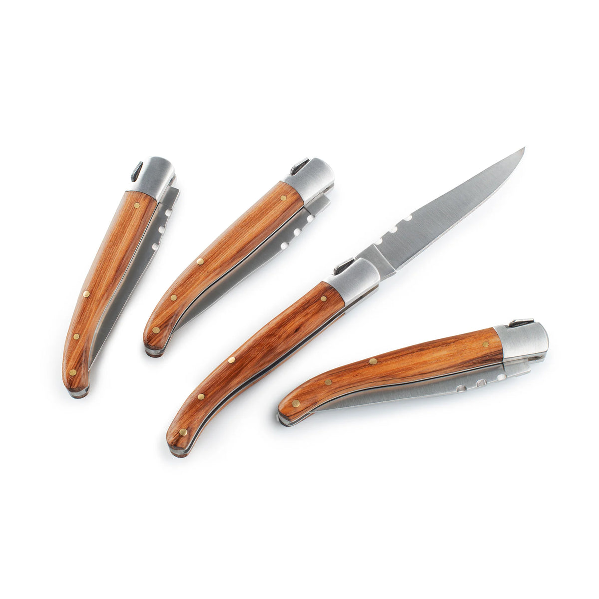 RAKAU Folding Steak Knives Set