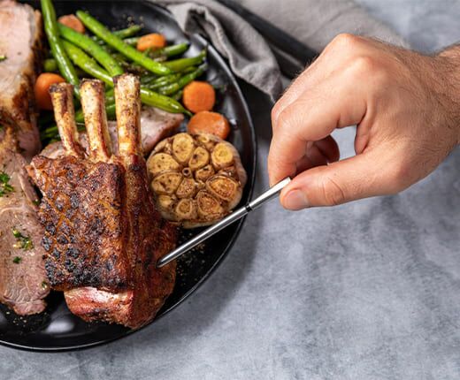 MEATER PRO Wireless Smart Meat Thermometer - Outdoor Food