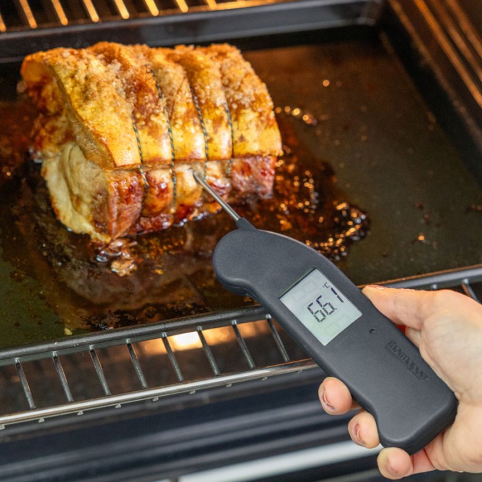 ETI Thermapen ONE Food Thermometer - Outdoor Food